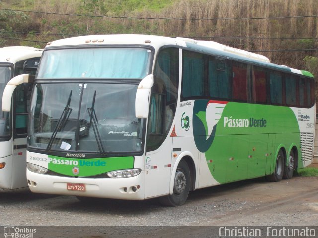 Pássaro Verde 28032 na cidade de Viçosa, Minas Gerais, Brasil, por Christian  Fortunato. Número da foto: #2100071.