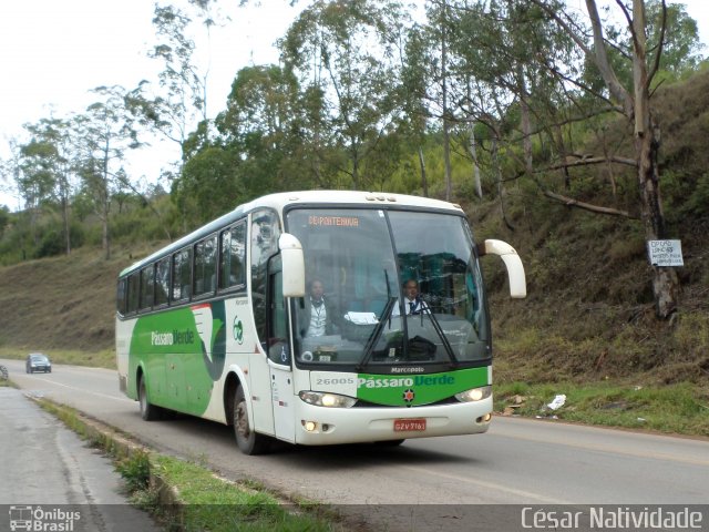 Pássaro Verde 26005 na cidade de Mariana, Minas Gerais, Brasil, por César Natividade. ID da foto: 2146090.