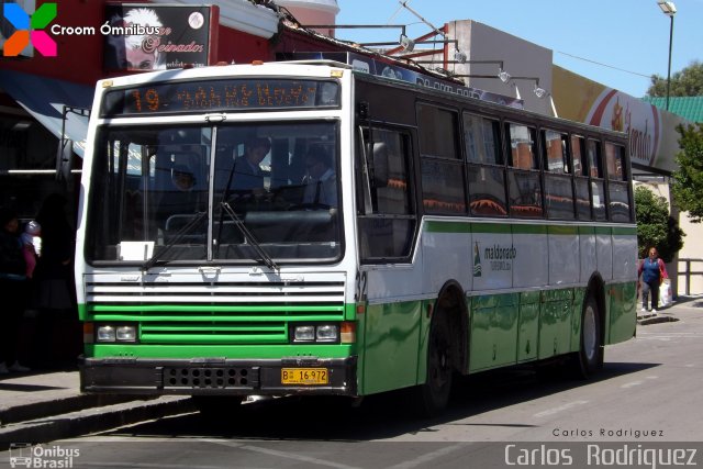 Maldonado Turismo 32 na cidade de Quaraí, Rio Grande do Sul, Brasil, por Carlos  Rodriguez. Número da foto: #2165869.
