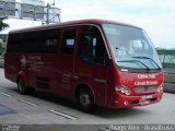 Paluana Transportes 5000 na cidade de Guarulhos, São Paulo, Brasil, por Thiago Alex. Número da foto: #2167700.