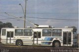 CTA - Companhia Tróleibus Araraquara 00 na cidade de Araraquara, São Paulo, Brasil, por Marco Antonio da Silva. Número da foto: #2169427.