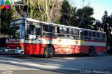 COETC - Cooperativa de Obreros y Empleados del Transporte Coletivo 29 na cidade de Quaraí, Rio Grande do Sul, Brasil, por Carlos  Rodriguez. Número da foto: #2170605.