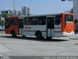 TRANSPPASS - Transporte de Passageiros 8 1259 na cidade de São Paulo, São Paulo, Brasil, por André Luiz Gomes de Souza. Número da foto: #2170864.