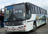 Transportes Carrizal AB 4546 na cidade de , por Sebastián Cruz. Número da foto: #:id.