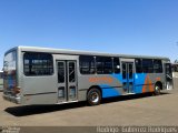 TCCC - Transporte Coletivo Cidade Canção 5651 na cidade de Maringá, Paraná, Brasil, por Rodrigo  Gutierrez Rodrigues. Número da foto: #:id.