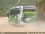 Pássaro Verde 11087 na cidade de Ervália, Minas Gerais, Brasil, por Julio Cesar Euzebio Alves. Número da foto: #:id.