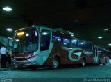 Expresso Gardenia 3650 na cidade de Belo Horizonte, Minas Gerais, Brasil, por Adão Raimundo Marcelino. Número da foto: #2177348.