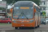 Viação Tamandaré 16R51 na cidade de Curitiba, Paraná, Brasil, por Matheus  Augusto. Número da foto: #2181191.