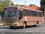 Empresa Dois Irmãos 149 na cidade de Teresina, Piauí, Brasil, por Pedro Alexandrino. Número da foto: #:id.