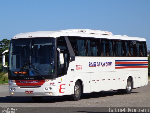 Expresso Embaixador 309 na cidade de Pelotas, Rio Grande do Sul, Brasil, por Gabriel  Morosoli. Número da foto: #2182573.