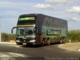 Banda Limão com Mel 5678 na cidade de Quixadá, Ceará, Brasil, por Roger Coelho. Número da foto: #2184477.