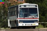 CODESA - Compañia Omnibuseira del Este 56 na cidade de Quaraí, Rio Grande do Sul, Brasil, por Carlos  Rodriguez. Número da foto: #2188415.
