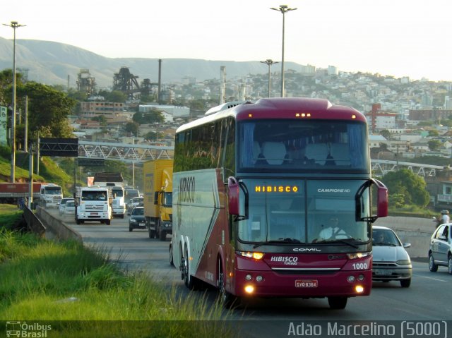 Hibisco Turismo 1000 na cidade de Belo Horizonte, Minas Gerais, Brasil, por Adão Raimundo Marcelino. ID da foto: 2190223.