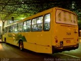 Viação Garcia 7659 na cidade de Maringá, Paraná, Brasil, por Rodrigo  Gutierrez Rodrigues. Número da foto: #2189959.