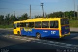 Auto Viação Reginas RJ 110.297 na cidade de Duque de Caxias, Rio de Janeiro, Brasil, por Ricardo Silva Monteiro. Número da foto: #:id.