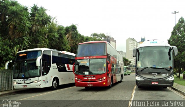 Pluma Conforto e Turismo 7001 na cidade de Curitiba, Paraná, Brasil, por Nilton Félix da Silva. Número da foto: #2191775.