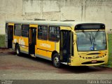 Londrisul Transportes Coletivos 4206 na cidade de Londrina, Paraná, Brasil, por Patrick Rocha. Número da foto: #2196173.
