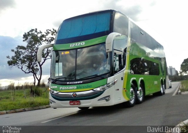 Pássaro Verde 12120 na cidade de Brasília, Distrito Federal, Brasil, por David Borges. Número da foto: #2197080.
