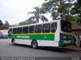 Empresa de Ônibus e Turismo Pedro Antônio RJ 126.007 na cidade de Paty do Alferes, Rio de Janeiro, Brasil, por Robson dos Santos Pereira. ID da foto: :id.