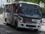 Transwolff Transportes e Turismo 7 8181 na cidade de São Paulo, São Paulo, Brasil, por Michel Sc. Número da foto: #:id.