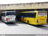Coletivo Transportes 121 na cidade de Palmares, Pernambuco, Brasil, por Eduardo Silveira. Número da foto: #:id.