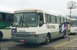 Nicolau Transportes e Turismo 9907 na cidade de Aparecida, São Paulo, Brasil, por Ricardo Marcelino. Número da foto: #2198844.