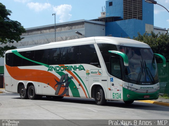 Empresa de Transportes Andorinha 6134 na cidade de São Paulo, São Paulo, Brasil, por Cristiano Soares da Silva. Número da foto: #2205527.