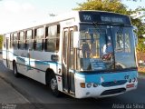 Transporte Tropical 017 na cidade de Maceió, Alagoas, Brasil, por Aldair da Silva. Número da foto: #:id.