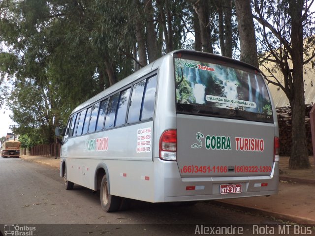 Cobra Turismo 3108 na cidade de Primavera do Leste, Mato Grosso, Brasil, por Alexandre Rodrigo. Número da foto: #2150276.