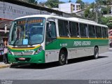 Empresa de Ônibus e Turismo Pedro Antônio RJ 126.002 na cidade de Vassouras, Rio de Janeiro, Brasil, por David Freitas. Número da foto: #:id.