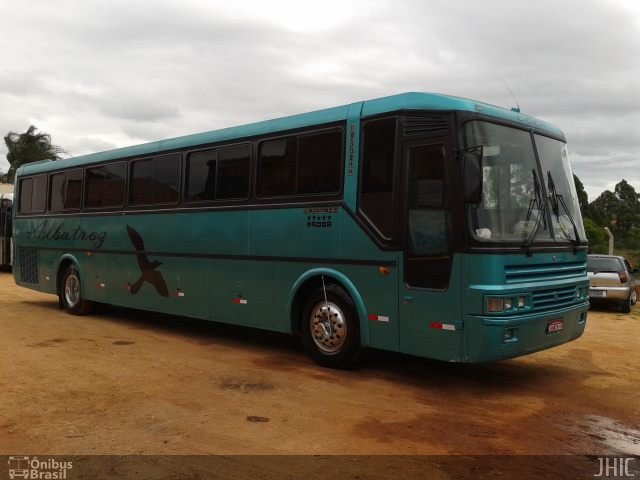 Albatroz 6303 na cidade de Itapetininga, São Paulo, Brasil, por Thais Muller. Número da foto: #2157163.