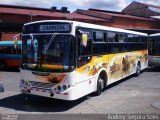 Transportes Carrizal AB 2384 na cidade de Alajuela, Alajuela, Costa Rica, por Andrey Segura Solís. Número da foto: #2160176.