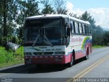 Autotransportes San José a Venecia 19 na cidade de Naranjo, Alajuela, Costa Rica, por Andrey Segura Solís. Número da foto: #2160894.