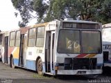 Sucata e Desmanches ETCD 30005 na cidade de Diadema, São Paulo, Brasil, por Sandro Alves. Número da foto: #2163811.