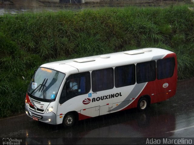 Rouxinol 315 na cidade de Belo Horizonte, Minas Gerais, Brasil, por Adão Raimundo Marcelino. ID da foto: 2211915.