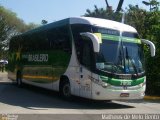 Expresso Brasileiro 218120 na cidade de São Paulo, São Paulo, Brasil, por Matheus de Melo Bento. Número da foto: #2210420.