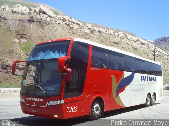 Pluma Conforto e Turismo 7202 na cidade de , por Pedro Carrasco Moya. Número da foto: #2230182.