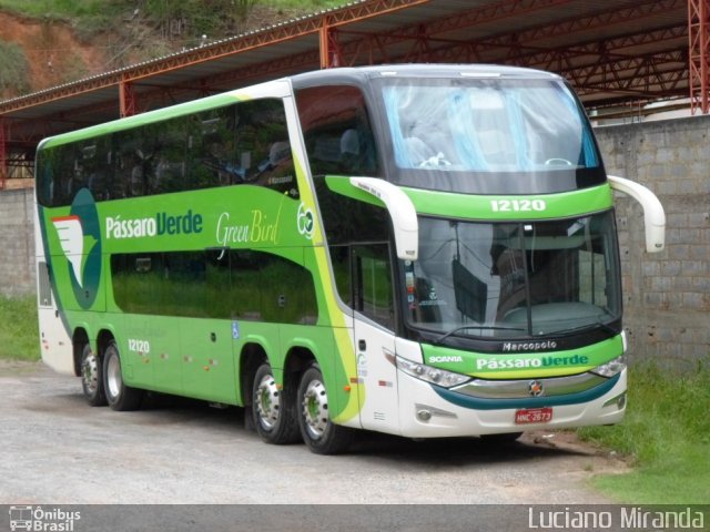 Pássaro Verde 12120 na cidade de Ubá, Minas Gerais, Brasil, por Luciano Miranda. Número da foto: #2230205.