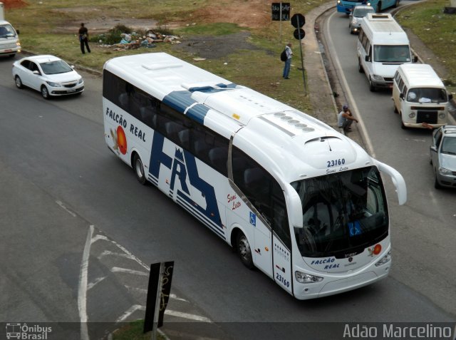 Falcão Real 23160 na cidade de Belo Horizonte, Minas Gerais, Brasil, por Adão Raimundo Marcelino. ID da foto: 2234481.