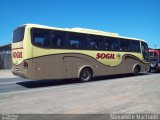 SOGIL - Sociedade de Ônibus Gigante Ltda. 313 na cidade de Gravataí, Rio Grande do Sul, Brasil, por Alexandre Machado. Número da foto: #:id.