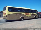 SOGIL - Sociedade de Ônibus Gigante Ltda. 313 na cidade de Gravataí, Rio Grande do Sul, Brasil, por Alexandre Machado. ID da foto: :id.