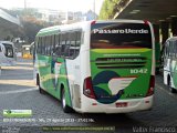 Pássaro Verde 1042 na cidade de Belo Horizonte, Minas Gerais, Brasil, por Valter Francisco. Número da foto: #:id.