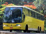 Viação Itapemirim 8007 na cidade de São Paulo, São Paulo, Brasil, por Rodney Cruz. Número da foto: #2240176.