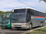 Nativio Turismo 1306 na cidade de Holambra, São Paulo, Brasil, por Rafael Nunes Pereira. Número da foto: #:id.