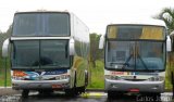 Alfa Luz Viação Transportes 3800 na cidade de Caldas Novas, Goiás, Brasil, por Carlos Júnior. Número da foto: #2242400.