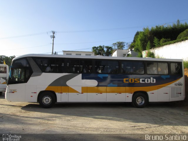 Cos Cob Agência de Viagens e Turismo 1200 na cidade de Cotia, São Paulo, Brasil, por Bruno Santino. Número da foto: #2243705.