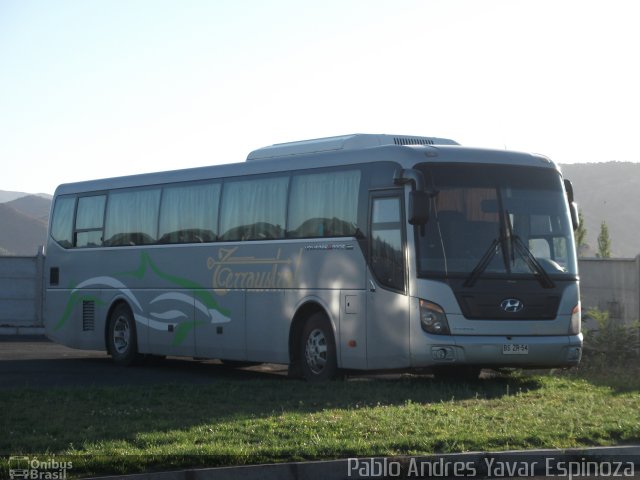 Terraustral BSZR54 na cidade de Santa Cruz, Colchagua, Libertador General Bernardo O'Higgins, Chile, por Pablo Andres Yavar Espinoza. Número da foto: #2247620.