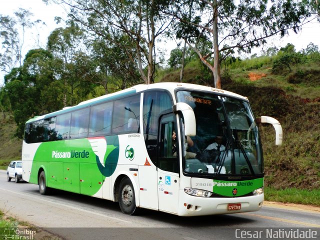 Pássaro Verde 29018 na cidade de Mariana, Minas Gerais, Brasil, por César Natividade. ID da foto: 2247132.