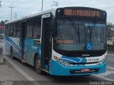 Viação Caravele RJ 173.080 na cidade de São João de Meriti, Rio de Janeiro, Brasil, por André Neves . Número da foto: #2251944.