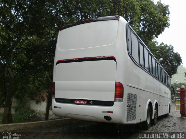 Pássaro Verde 3730 na cidade de Viçosa, Minas Gerais, Brasil, por Luciano Miranda. ID da foto: 2254938.